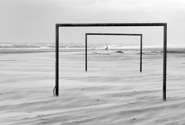 动视频展示 动视频展示