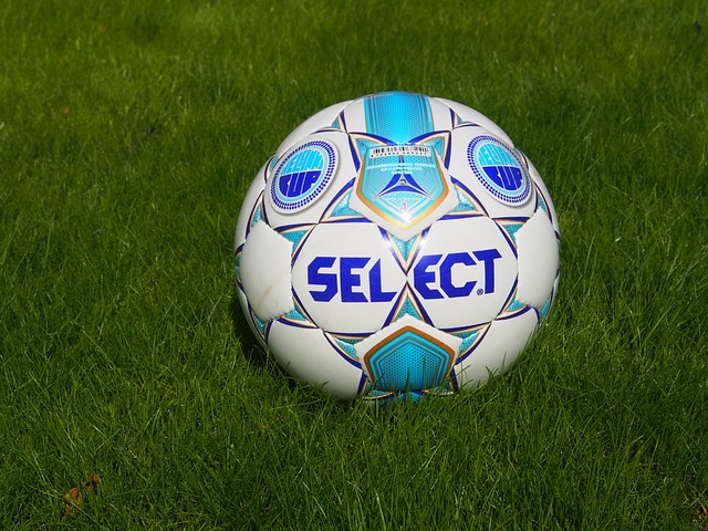 冬会的期待 冬会的期待