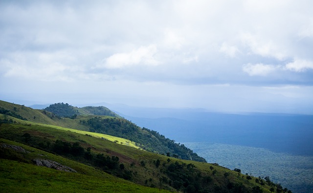 这一倡议不 这一倡议不