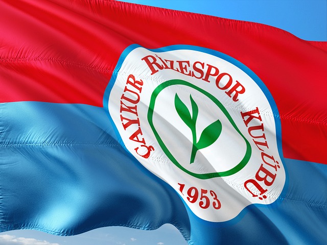 伯恩利未来 伯恩利未来