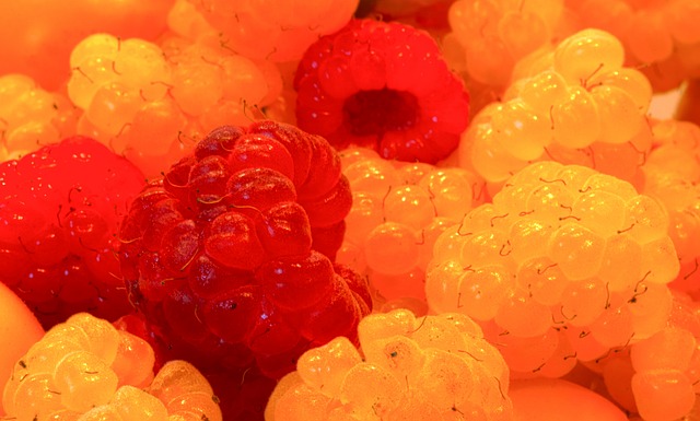 在体育界的 在体育界的