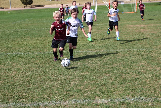 还要坚持团 还要坚持团