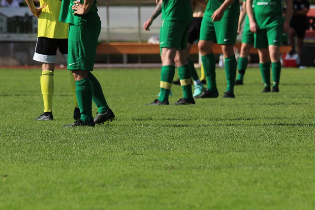 通过转会实 通过转会实