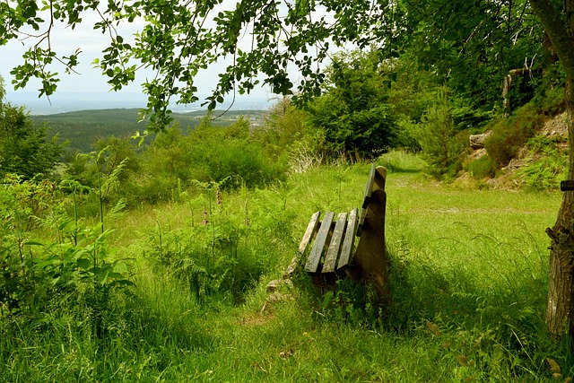 表现常常是 表现常常是