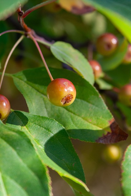 才打兩場就 才打兩場就