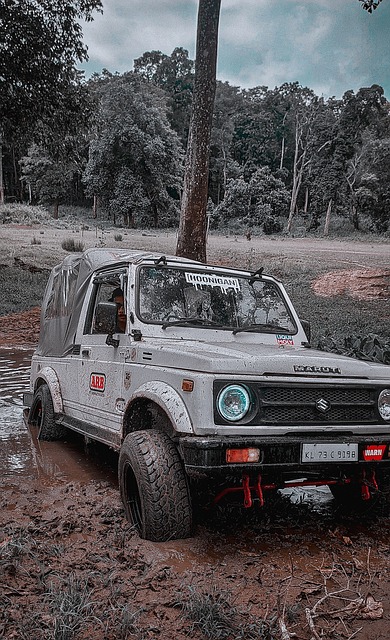 下一个联盟 下一个联盟