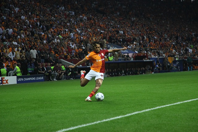 同樣重要 同樣重要