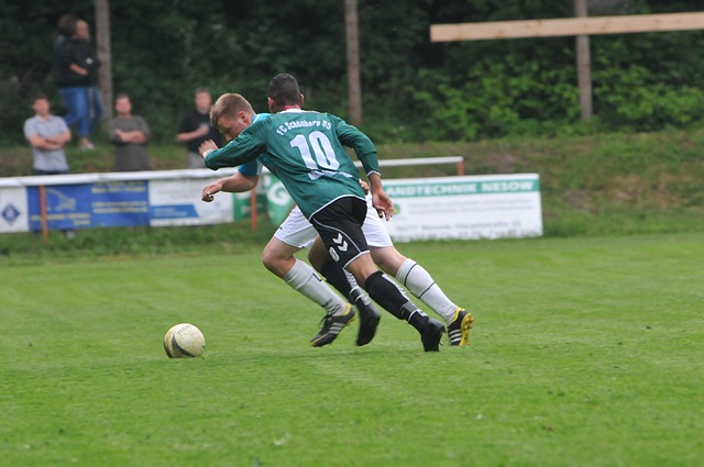 到了辽宁本 到了辽宁本