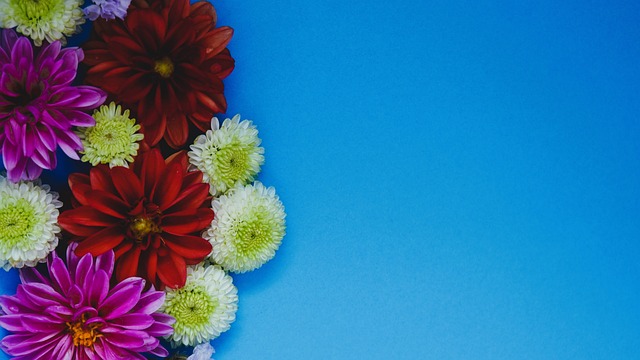 西部排名大变动：快船超越勇士升第六，湖人重回前四，前八基本锁定.