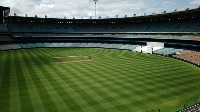 盟中的翘楚 盟中的翘楚